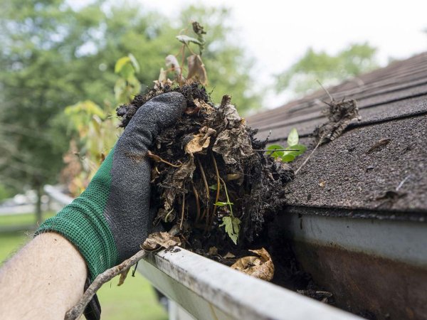 Gutter Cleaning
